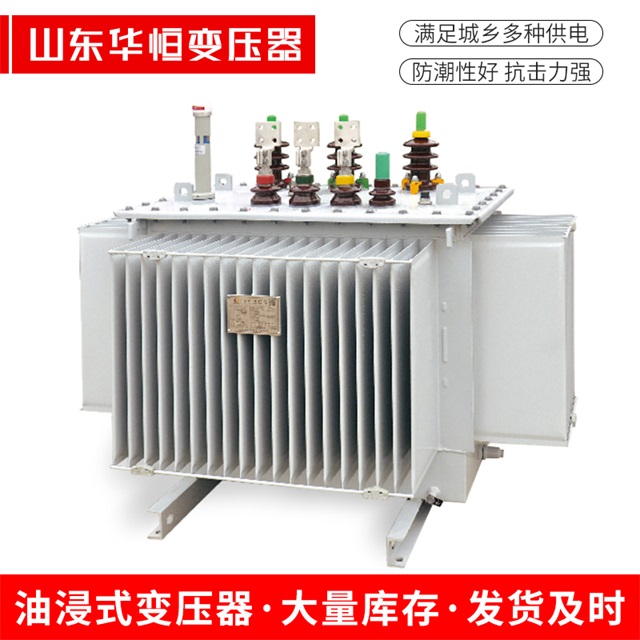 S13-10000/35郴州郴州郴州电力变压器